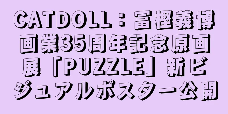 CATDOLL：冨樫義博画業35周年記念原画展「PUZZLE」新ビジュアルポスター公開