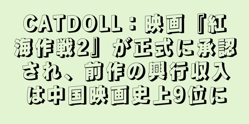 CATDOLL：映画『紅海作戦2』が正式に承認され、前作の興行収入は中国映画史上9位に