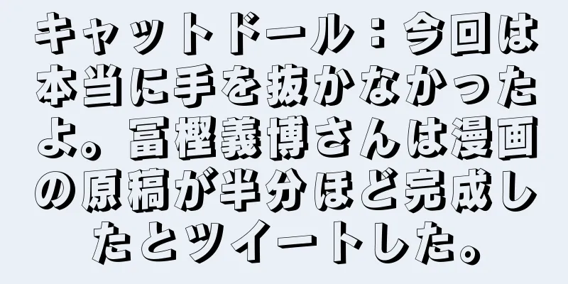 キャットドール：今回は本当に手を抜かなかったよ。冨樫義博さんは漫画の原稿が半分ほど完成したとツイートした。