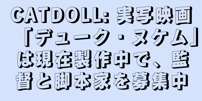 CATDOLL: 実写映画「デューク・ヌケム」は現在製作中で、監督と脚本家を募集中