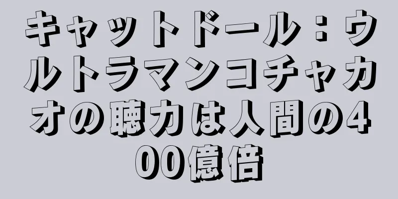 キャットドール：ウルトラマンコチャカオの聴力は人間の400億倍