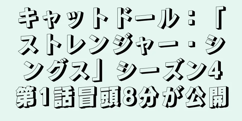 キャットドール：「ストレンジャー・シングス」シーズン4第1話冒頭8分が公開
