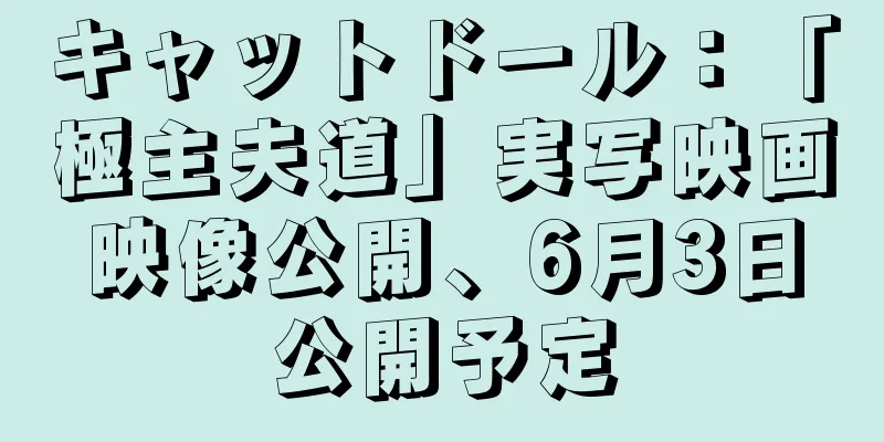 キャットドール：「極主夫道」実写映画映像公開、6月3日公開予定