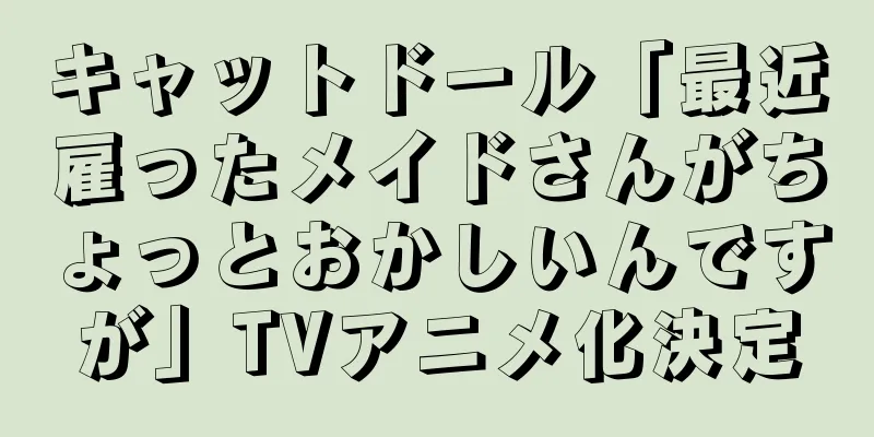 キャットドール「最近雇ったメイドさんがちょっとおかしいんですが」TVアニメ化決定