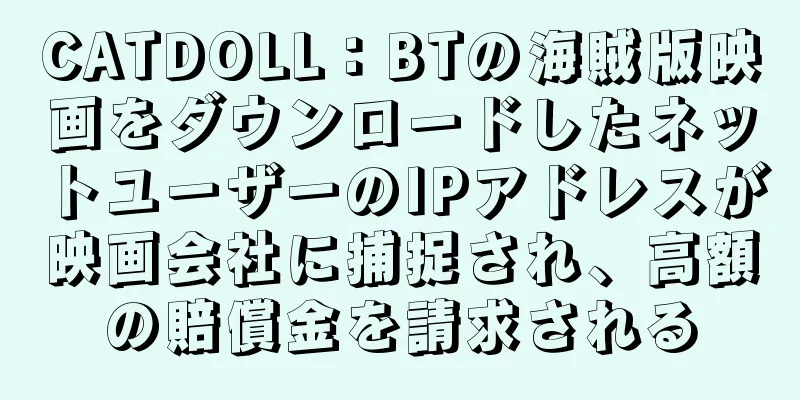CATDOLL：BTの海賊版映画をダウンロードしたネットユーザーのIPアドレスが映画会社に捕捉され、高額の賠償金を請求される
