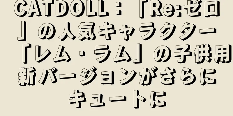 CATDOLL：「Re:ゼロ」の人気キャラクター「レム・ラム」の子供用新バージョンがさらにキュートに