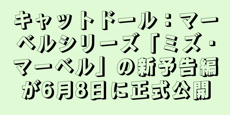 キャットドール：マーベルシリーズ「ミズ・マーベル」の新予告編が6月8日に正式公開