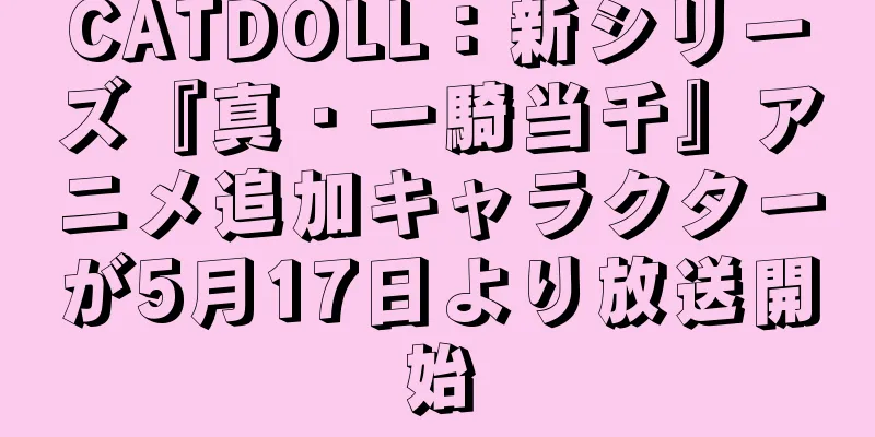 CATDOLL：新シリーズ『真・一騎当千』アニメ追加キャラクターが5月17日より放送開始