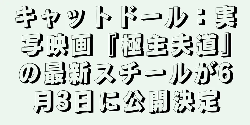 キャットドール：実写映画『極主夫道』の最新スチールが6月3日に公開決定
