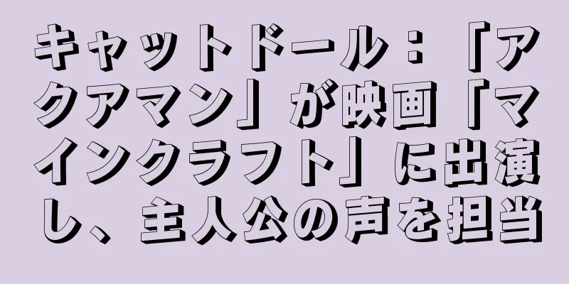 キャットドール：「アクアマン」が映画「マインクラフト」に出演し、主人公の声を担当