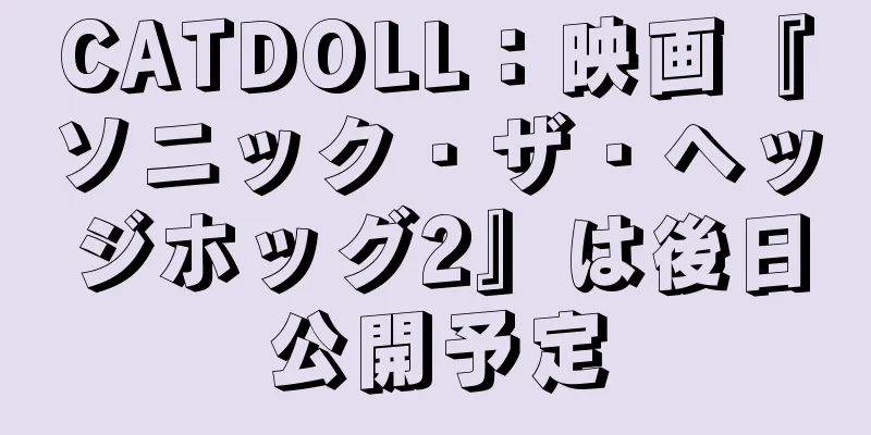 CATDOLL：映画『ソニック・ザ・ヘッジホッグ2』は後日公開予定