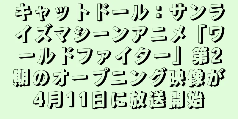 キャットドール：サンライズマシーンアニメ「ワールドファイター」第2期のオープニング映像が4月11日に放送開始