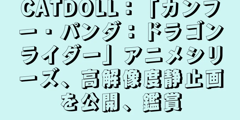 CATDOLL：「カンフー・パンダ：ドラゴンライダー」アニメシリーズ、高解像度静止画を公開、鑑賞