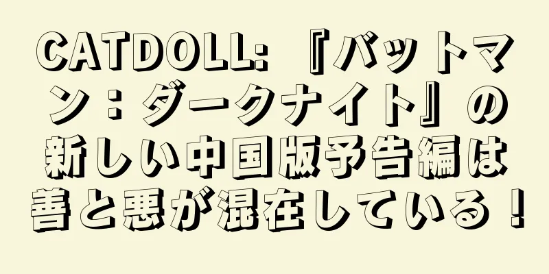 CATDOLL: 『バットマン：ダークナイト』の新しい中国版予告編は善と悪が混在している！