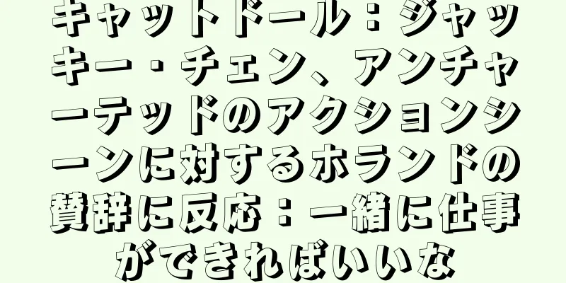 キャットドール：ジャッキー・チェン、アンチャーテッドのアクションシーンに対するホランドの賛辞に反応：一緒に仕事ができればいいな