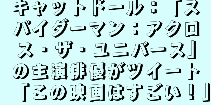 キャットドール：「スパイダーマン：アクロス・ザ・ユニバース」の主演俳優がツイート「この映画はすごい！」