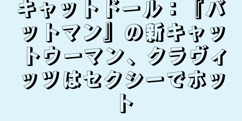 キャットドール：『バットマン』の新キャットウーマン、クラヴィッツはセクシーでホット