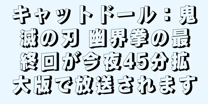 キャットドール：鬼滅の刃 幽界拳の最終回が今夜45分拡大版で放送されます