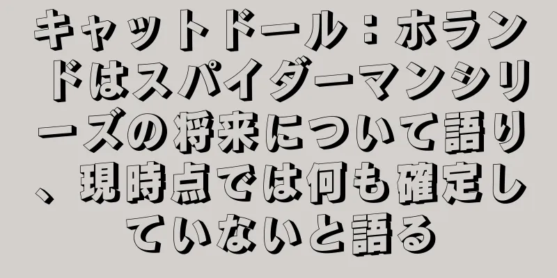 キャットドール：ホランドはスパイダーマンシリーズの将来について語り、現時点では何も確定していないと語る