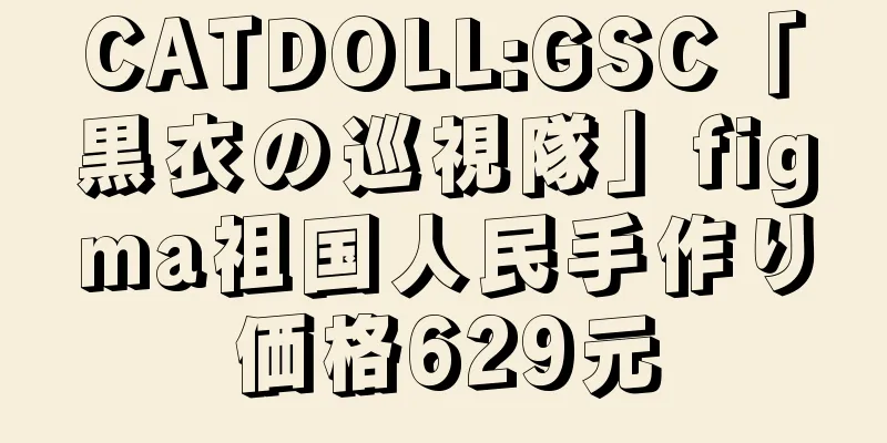 CATDOLL:GSC「黒衣の巡視隊」figma祖国人民手作り価格629元