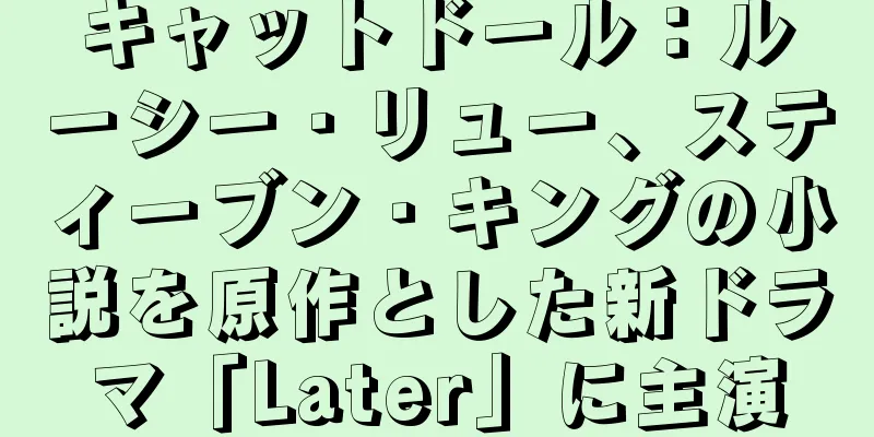 キャットドール：ルーシー・リュー、スティーブン・キングの小説を原作とした新ドラマ「Later」に主演