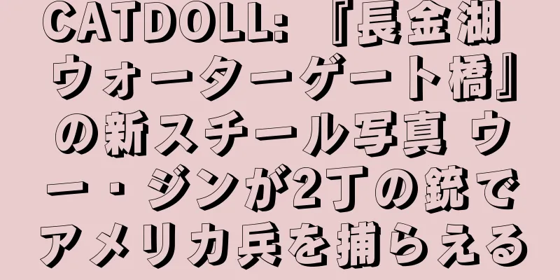 CATDOLL: 『長金湖 ウォーターゲート橋』の新スチール写真 ウー・ジンが2丁の銃でアメリカ兵を捕らえる