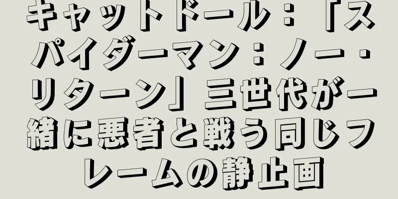 キャットドール：「スパイダーマン：ノー・リターン」三世代が一緒に悪者と戦う同じフレームの静止画