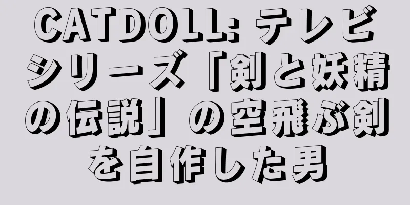 CATDOLL: テレビシリーズ「剣と妖精の伝説」の空飛ぶ剣を自作した男
