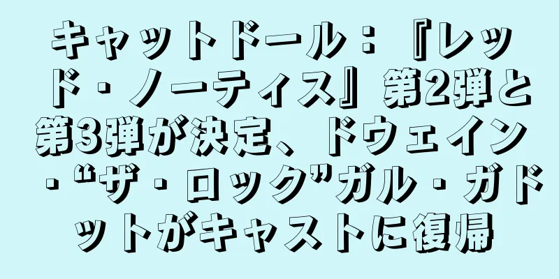 キャットドール：『レッド・ノーティス』第2弾と第3弾が決定、ドウェイン・“ザ・ロック”ガル・ガドットがキャストに復帰