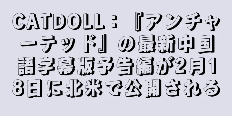 CATDOLL：『アンチャーテッド』の最新中国語字幕版予告編が2月18日に北米で公開される