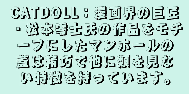 CATDOLL：漫画界の巨匠・松本零士氏の作品をモチーフにしたマンホールの蓋は精巧で他に類を見ない特徴を持っています。