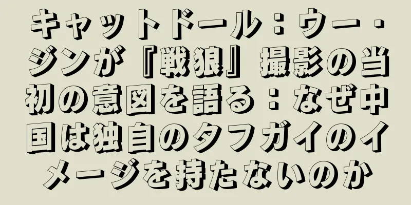 キャットドール：ウー・ジンが『戦狼』撮影の当初の意図を語る：なぜ中国は独自のタフガイのイメージを持たないのか