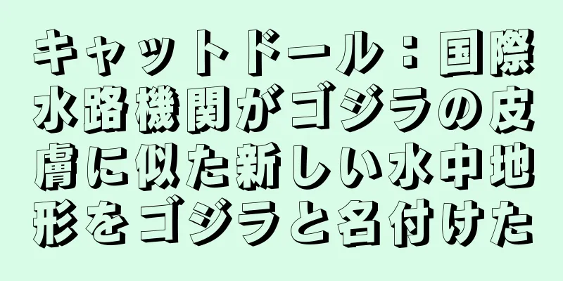 キャットドール：国際水路機関がゴジラの皮膚に似た新しい水中地形をゴジラと名付けた
