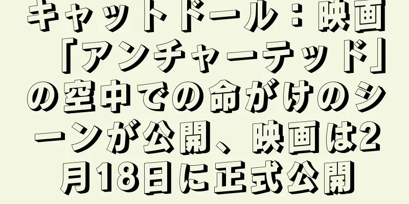 キャットドール：映画「アンチャーテッド」の空中での命がけのシーンが公開、映画は2月18日に正式公開