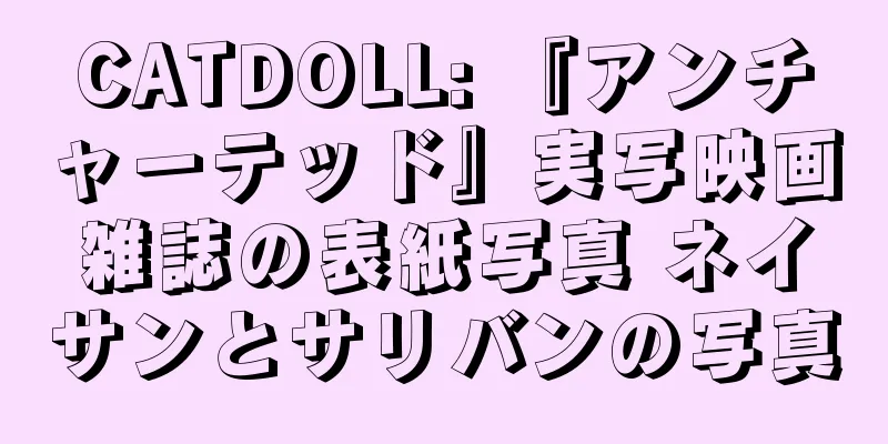 CATDOLL: 『アンチャーテッド』実写映画雑誌の表紙写真 ネイサンとサリバンの写真