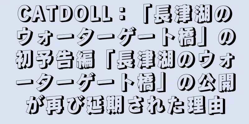 CATDOLL：「長津湖のウォーターゲート橋」の初予告編「長津湖のウォーターゲート橋」の公開が再び延期された理由