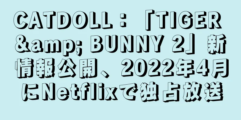 CATDOLL：「TIGER & BUNNY 2」新情報公開、2022年4月にNetflixで独占放送