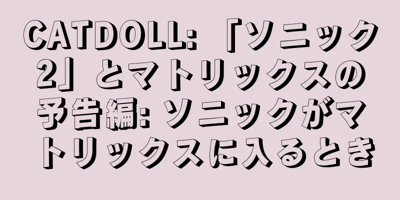 CATDOLL: 「ソニック2」とマトリックスの予告編: ソニックがマトリックスに入るとき