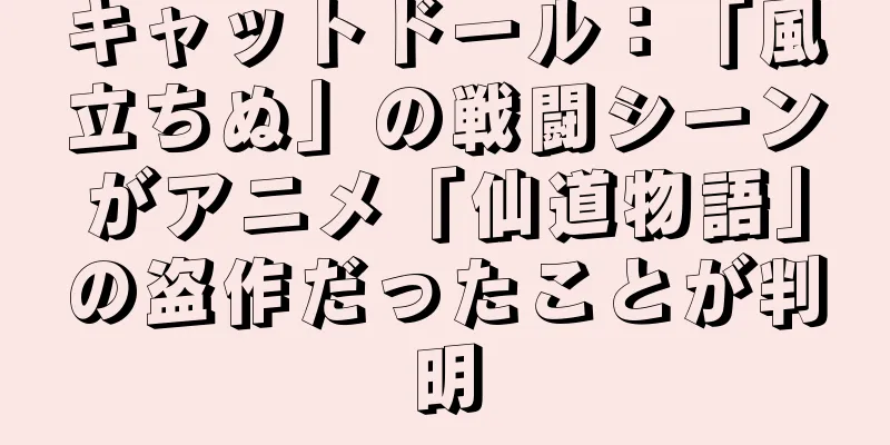 キャットドール：「風立ちぬ」の戦闘シーンがアニメ「仙道物語」の盗作だったことが判明