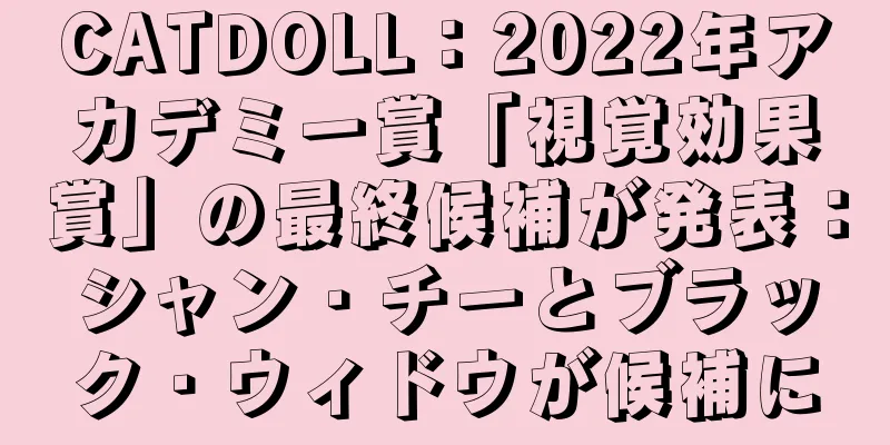 CATDOLL：2022年アカデミー賞「視覚効果賞」の最終候補が発表：シャン・チーとブラック・ウィドウが候補に