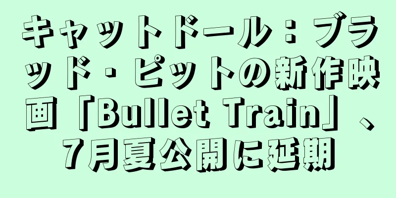 キャットドール：ブラッド・ピットの新作映画「Bullet Train」、7月夏公開に延期