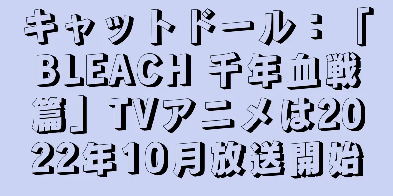 キャットドール：「BLEACH 千年血戦篇」TVアニメは2022年10月放送開始