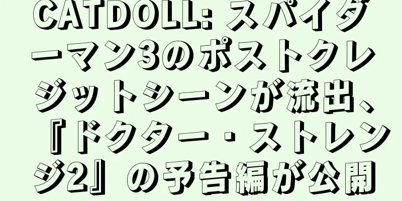 CATDOLL: スパイダーマン3のポストクレジットシーンが流出、『ドクター・ストレンジ2』の予告編が公開