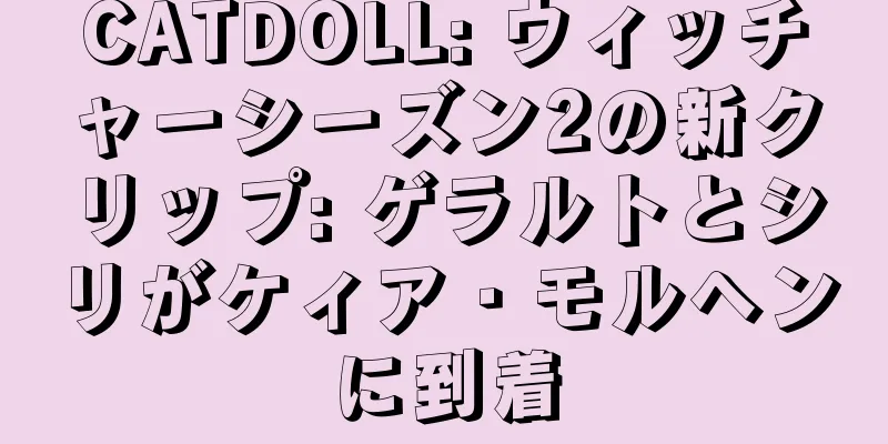 CATDOLL: ウィッチャーシーズン2の新クリップ: ゲラルトとシリがケィア・モルヘンに到着