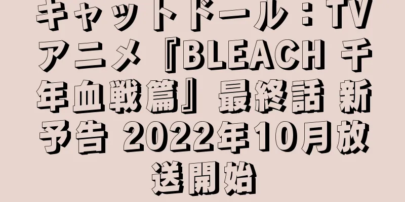 キャットドール：TVアニメ『BLEACH 千年血戦篇』最終話 新予告 2022年10月放送開始