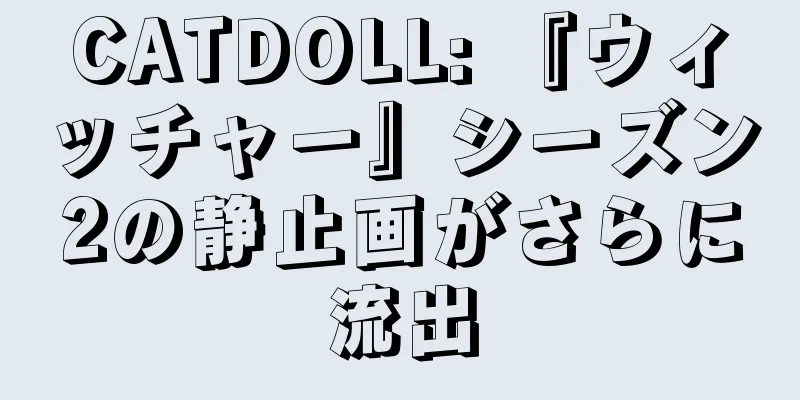 CATDOLL: 『ウィッチャー』シーズン2の静止画がさらに流出