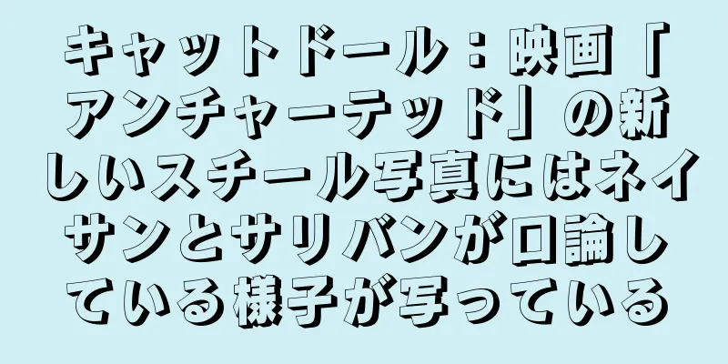 キャットドール：映画「アンチャーテッド」の新しいスチール写真にはネイサンとサリバンが口論している様子が写っている