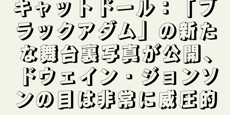 キャットドール：「ブラックアダム」の新たな舞台裏写真が公開、ドウェイン・ジョンソンの目は非常に威圧的