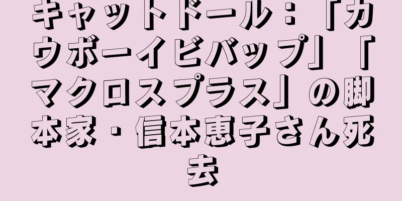 キャットドール：「カウボーイビバップ」「マクロスプラス」の脚本家・信本恵子さん死去