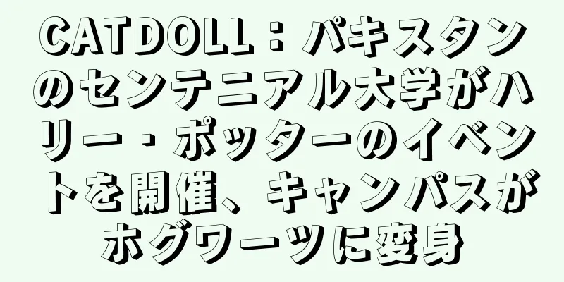 CATDOLL：パキスタンのセンテニアル大学がハリー・ポッターのイベントを開催、キャンパスがホグワーツに変身